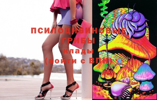 СК Белокуриха